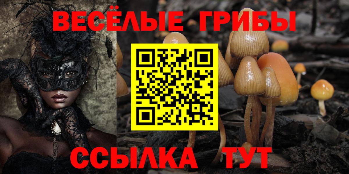 Москва  Галлюциногенные грибы ЛСД  Вход с VPN 